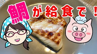 給食に鯛がやってきた！