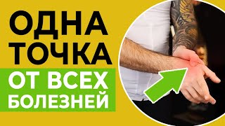 Здоровье на долгие века ГАРАНТИРОВАНО! Точка долголетия от ВСЕХ болезней!