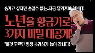 노년을 황금기로 만드는 3가지 비밀 | 활기찬 노후 생활의 핵심