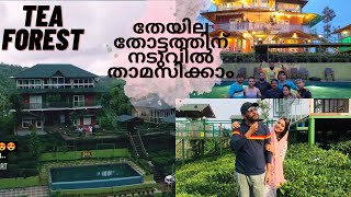 A trip to wayanad with family| Budget friendly resort in wayanad |Tea forest resort |Malayalam vlog|