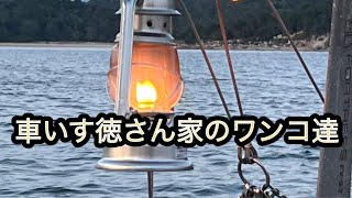 広島弁車いす徳さん♿️【徳さん家のワンコ達の名前は？】#youtube #廿日市市 #車椅子 #福祉 #生きる #バリアフリー #車いす #japan