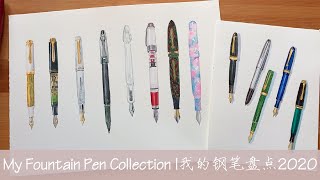 My Fountain Pen Collection |我的钢笔盘点 (平价)2020 Platinum/Pilot decimo/twsbi 三文堂/sailor SHIKIORI 四季织