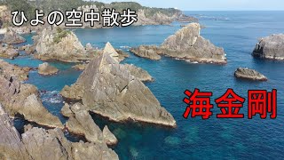 【4K空撮】紀伊大島海金剛を空から見ると・・・（和歌山県串本市）