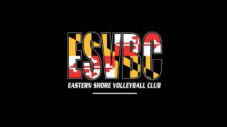 ESVBC Storm 17U (2025.02.01)