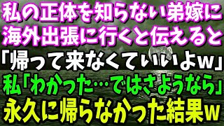 【スカッと】私の正体を知らない弟嫁に海外出張に行くと伝えると「帰って来なくていいよ？実家暮らしの寄生虫の顔なんか見たくもないw」私「わかった…ではお達者で」→永久に帰らなかった結果w【修羅場