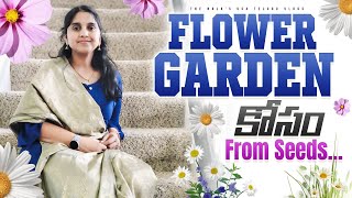 అదన్నమాట మా Tomato rice కథ | Telugu Vlogs from USA | re-potting Flower garden tips in America food