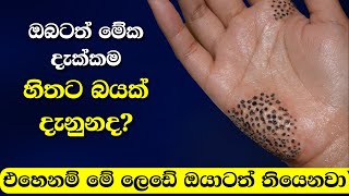 මිනිසුන්ට බහුලව තියන භීතිකාවන් 10ක් | 10 Of The Most Common Phobias