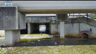 Cleaning process begins for Cape Coral canal