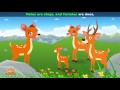 deer animal rhymes in ultra hd 4k