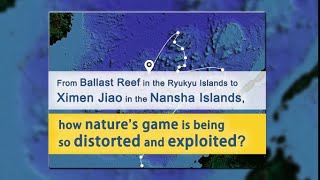 Nature's game: the formation of a cay