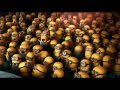 Universal Pictures International Blu-ray family trailer 1080p