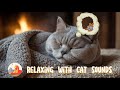 Music helps cats relax 🐱 Relaxing Jazz Music for Cats