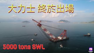 《海岸偵察隊》將軍澳跨灣連接鋼橋系列.....大力士吊船新振浮7號駕臨為將軍澳跨灣大橋組裝預制橋面組件。他每次可以吊起5000噸貨物，而大家熟悉的亞洲第一吊華天龍號吊亦只可吊四千噸。