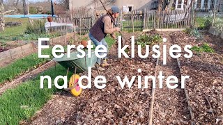 Ini's Moestuin #223 Eerste moestuinklusjes na de winter, bijzondere verrassingen, uitjes voortrekken