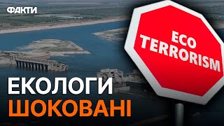 ГОЛОВНА артерія УКРАЇНИ під ЗАГРОЗОЮ! 🛑 РФ вб*ває ЕКОСИСТЕМУ річки ДНІПРО