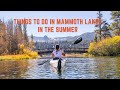 Best Things to Do In and Around Mammoth Lakes in the Summer | California