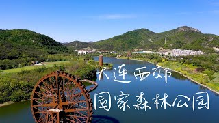 Drone shot Dalian West Suburb National Forest Park ｜大连西郊国家森林公园航拍记录