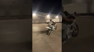 2003 Honda CBR 954RR wheelie