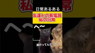 日常あるある『友達との長電話　私の日常』みんなもあるある...だよね?w#猫ミーム