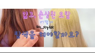 얇고,손상된 모발 붉은기 빼는 탈색방법 | 손상도 없이 탈색하는법 |k-beauty hair shop