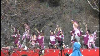 岩代大梅林よさこい　2012.02.19　夢天翔その2