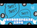 推特如何快速引流？推特（twitter）涨粉提高关注量应该怎么做 推特怎么增加曝光率提高？下面分享获取营销客户的小机密 推广 海外推广 广告 twitter推特自助下单平台 推特曝光几个小技巧