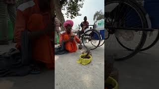 Snake Charmer in India #Shorts