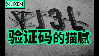 验证码不光可以白嫖人们的智力，没准还侵犯你的隐私【差评君】