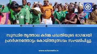 സുസ്ഥിര തൃത്താല കര്‍മ്മ പദ്ധതിയുടെ ഭാഗമായി പ്രദര്‍ശനത്തോട്ടം കൊയ്ത്തുത്സവം സംഘടിപിച്ചു.