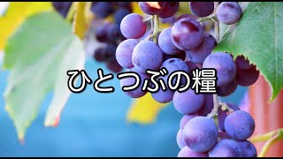 【今週のひとつぶの糧☆26☆リーディング入り】コリント人への第二の手紙12章8-9節