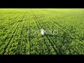 girl running on sunlight field 1 stock footage videohive