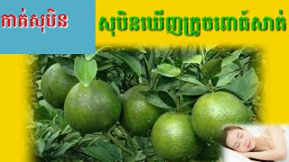 សុបិនឃើញក្រូចពោធ៍សាត់-Dreaming seeing of pursat orange