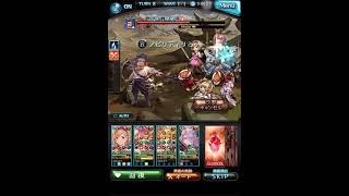 【グラブル】紫の騎士+　マグナ編成