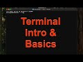 MacBook Air Terminal Intro and Basic Commands #MacBook #terminal