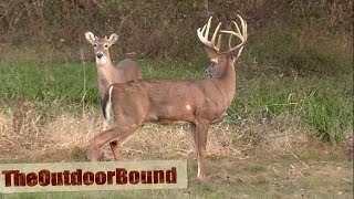 AWESOME HEART SHOT....Ravin Crossbow vs Whitetail Buck