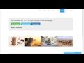 WordPress Carousel Plugin by  Owl Carousel 2 | Best WordPress Plugins Free