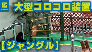 【ビーコロ#4】2013年 大型コロコロ装置「ジャングル」 （Rube Goldberg machine）