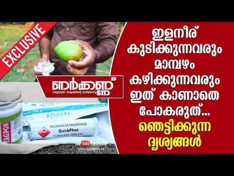 Must watch! Those who drink tender coconut water and eat Mangos be careful | Nerkkannu | Kaumudy TV Must watch! Those who drink tender coconut water and eat Mangos be careful | Nerkkannu | Kaumudy TV