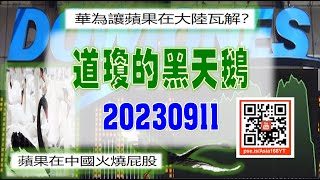 亞洲我最驫20230911 道瓊的黑天鵝