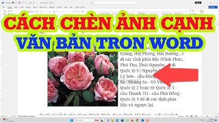 Cách chèn ảnh vào một bên cạnh văn bản trong WORD