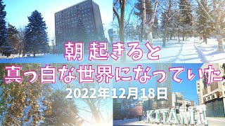 No.509【今朝の北見 雪の状況】朝起きたら一面真っ白な世界になっていました⛄️2022年12月18日(日)