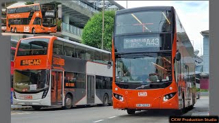 🇭🇰 [🟠1st Day of Airport's New MCVs✈] Long Win Bus #UV6X2 XM3239 @A43 [Airport→Fanling (Luen Wo Hui)]