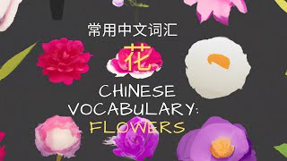 中文植物词汇-花卉篇 Chinese Vocabulary - Flowers | 学汉字 xhanzi.com