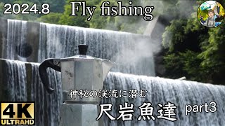 【Fly fishing】2024/神秘の渓流に潜む尺岩魚達/part3/4K/