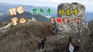 秋遊 韓國釜山  登釜山最高峰 姑堂峰  梵魚寺｜ 金井山 賞楓登山行