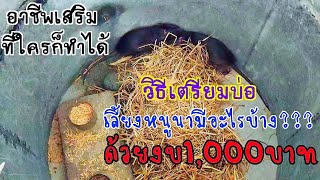 ขั้นตอนการเตรียมบ่อเลี้ยงหนูครั้งแรกด้วยงบ1,000บาท