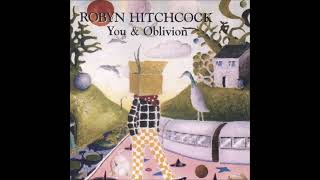 ~ Robyn Hitchcock ~ You And Oblivion