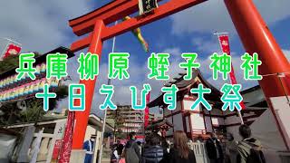 兵庫のえべっさん「兵庫柳原 蛭子神社」十日えびす大祭(令和6年)