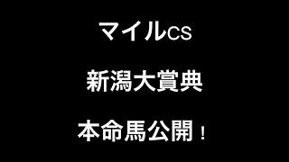 マイルCS / 新潟大賞典2022 〜本命馬〜