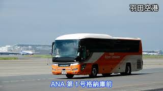 【#羽田空港 】ランプ走行する #リムジンバス （貸切１５号車）｜Airport Limousine Bus｜#東京空港交通 ｜